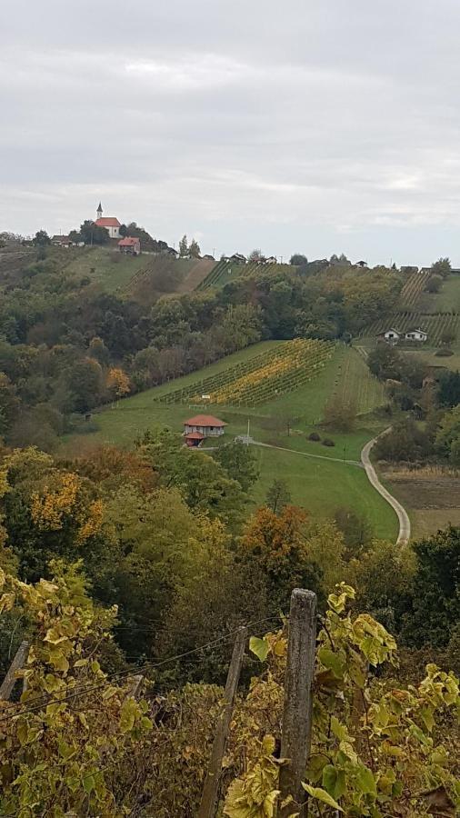 Kuca Za Odmor Nina Villa Sveti Martin Na Muri Luaran gambar